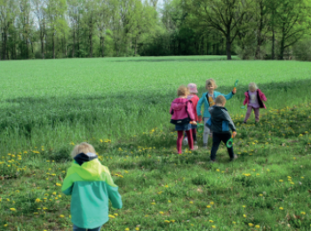 Unter'm Regenbogen in der Natur